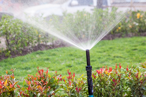Image for Rob's Ground Care, LLC with ID of: 2077456