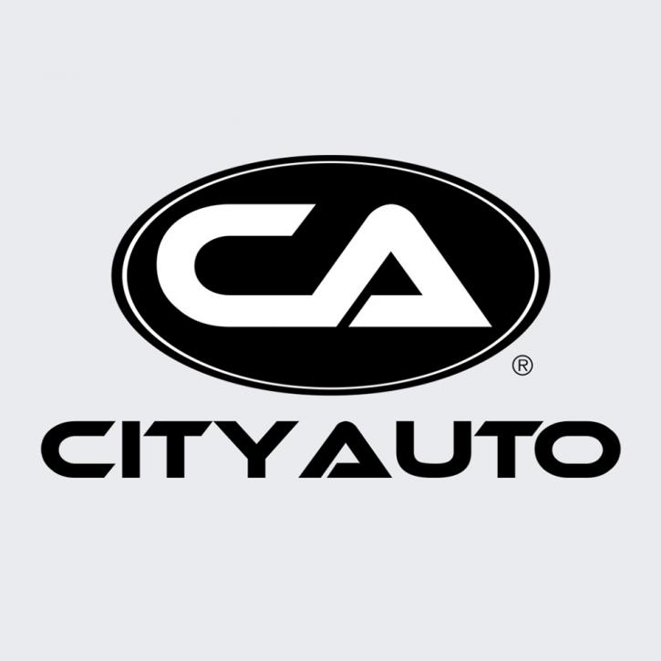 Image for City Auto with ID of: 2077859