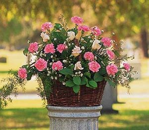 Image for The Flower Shop with ID of: 2080151