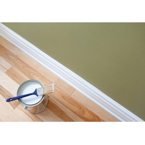 Image for Florida Painting Company with ID of: 2082891