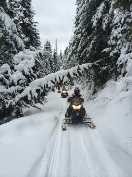 Image for Swan Mountain Snowmobiling with ID of: 2083058