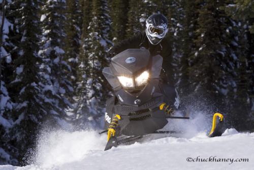 Image for Swan Mountain Snowmobiling with ID of: 2083060