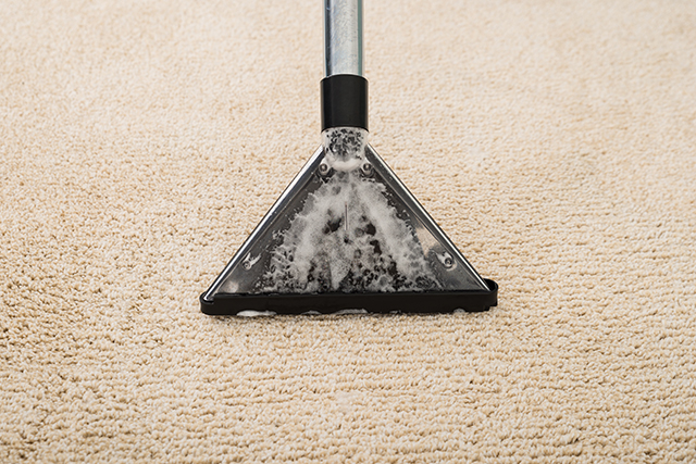 Image for Cleantex Carpet Services with ID of: 2083959