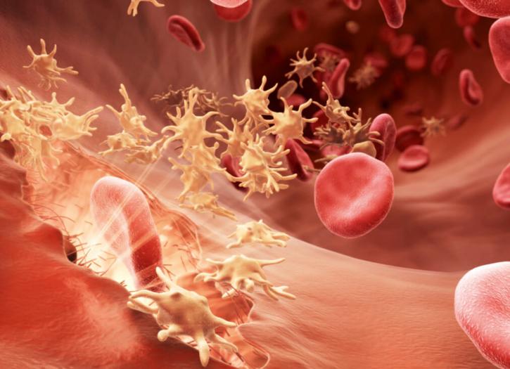 Image for Get Animated! Medical with ID of: 2084292