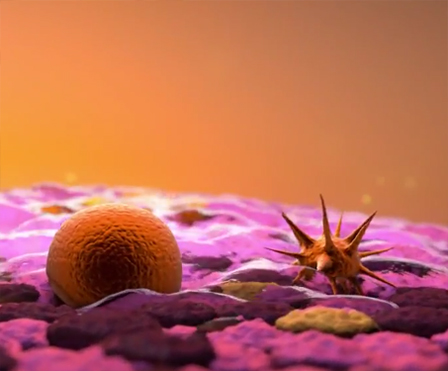 Image for Get Animated! Medical with ID of: 2084297