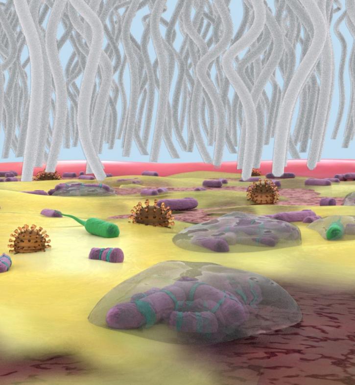 Image for Get Animated! Medical with ID of: 2084300