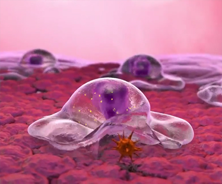 Image for Get Animated! Medical with ID of: 2084301