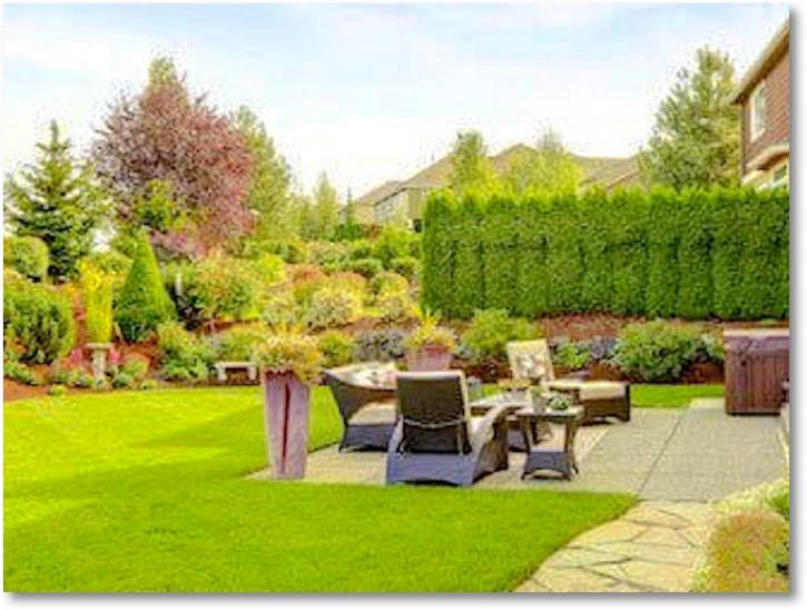 Image for DMT Property Maintenance with ID of: 2084598