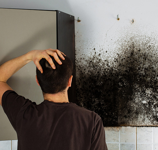 Image for Mold Removal Grand Island with ID of: 2084771