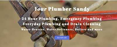 Image for Plumber Sandy with ID of: 2084810