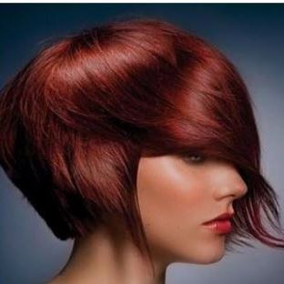 Image for New York Dominican Salon with ID of: 2085243