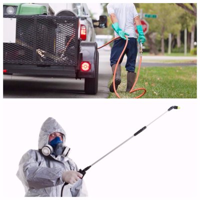 Image for Rays Property Maintenance and Pest Control with ID of: 2085687