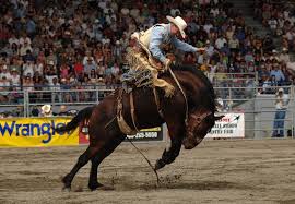 Image for NFR Redeo 2017 with ID of: 2085817