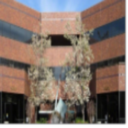 Image for CSC Lawyers Process Server Lance Casey & Associates with ID of: 2087402