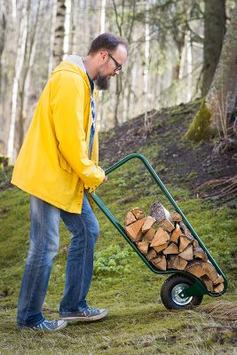 Image for Transporting Firewood with ID of: 2094378