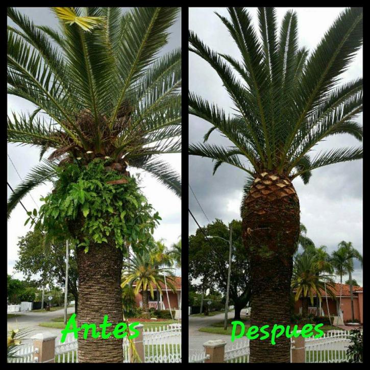 Image for K-Diaz Landscaping Inc with ID of: 2096984