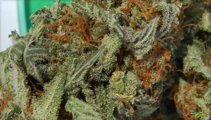 Image for Medical Marijuana with ID of: 2097647
