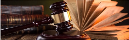 Image for Ronald Flate Law Office with ID of: 2100053
