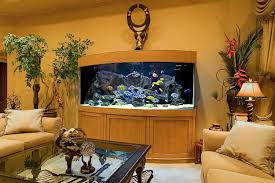 Image for America Aquaria with ID of: 2100095