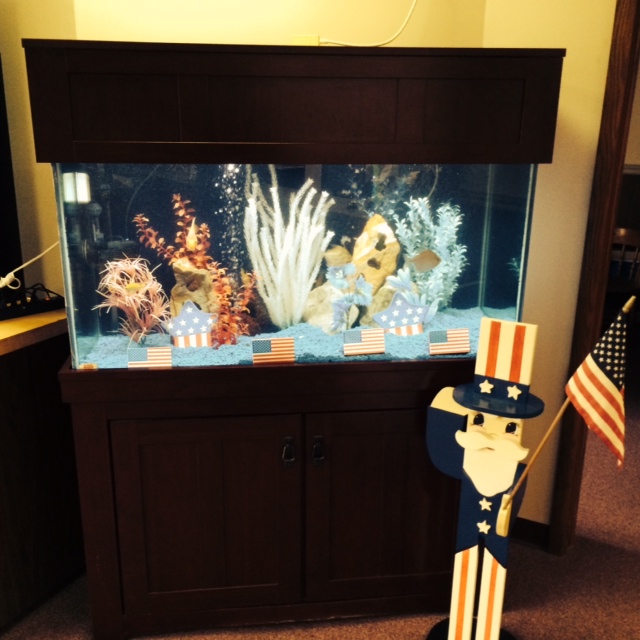 Image for America Aquaria with ID of: 2100096