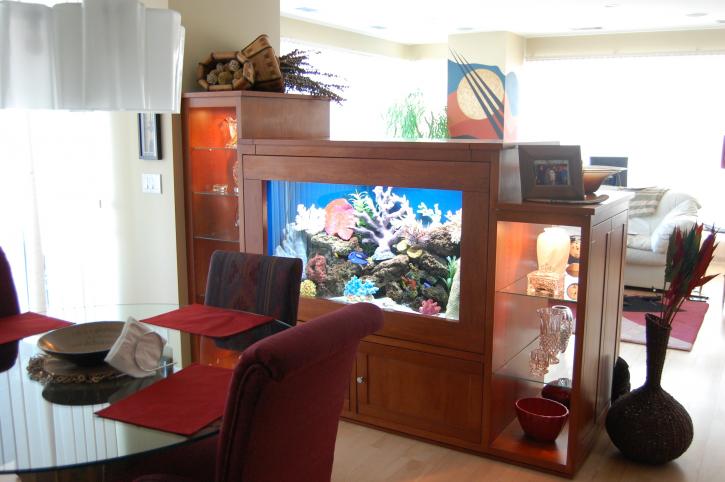 Image for America Aquaria with ID of: 2100100
