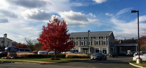 Image for Maplecrest Ford of Mendham with ID of: 2101529