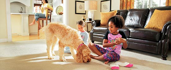 Image for WCO Flooring America with ID of: 2102134