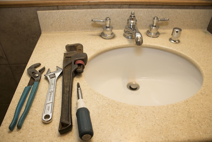 Image for Bulldog Rooter with ID of: 2102777