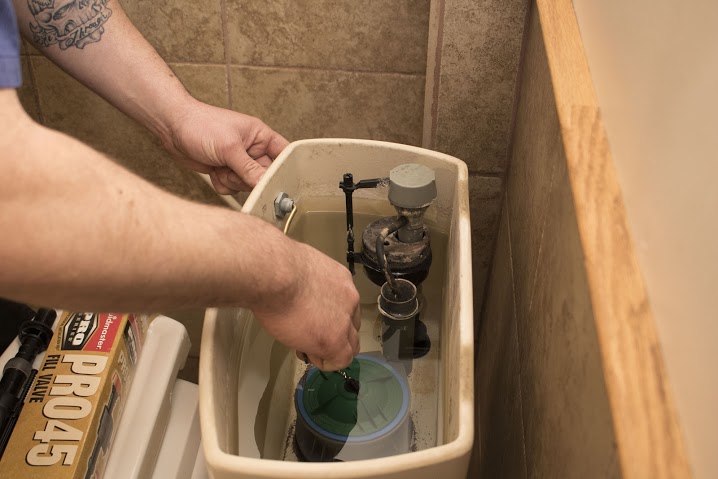 Image for Bulldog Rooter with ID of: 2102779