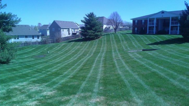Image for Dr. Green Thumb Landscape Service, LLC with ID of: 2103082