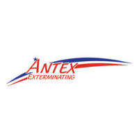 Image for ANTEX Exterminating with ID of: 2103259