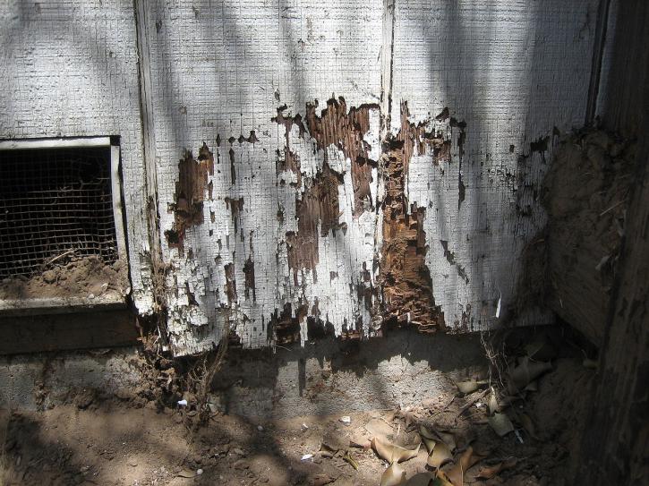 Image for ANTEX Exterminating with ID of: 2103267