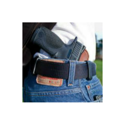 Image for Northern Illinois Carry LLC with ID of: 2104585