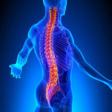 Image for ChiroMedic Family Practice with ID of: 2105883