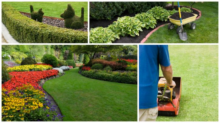 Image for Green Life Yard Services with ID of: 2106337