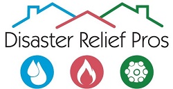 Image for Disaster Relief Pros with ID of: 2106931