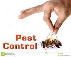 Image for Lightoller Pest control with ID of: 2107584