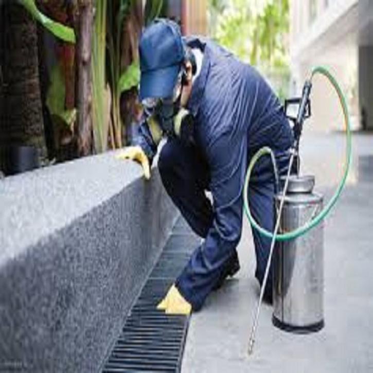 Image for Lightoller Pest control with ID of: 2107622