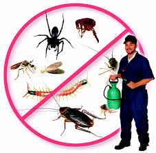 Image for Murdstone Pest Control with ID of: 2107877