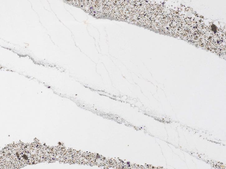 Image for International Granite and Stone with ID of: 2109845