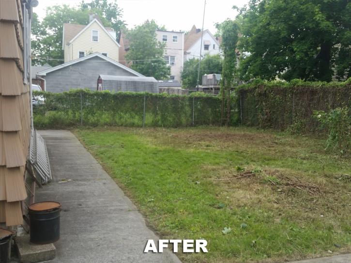 Image for Tree Trimming & Pruning with ID of: 2111425
