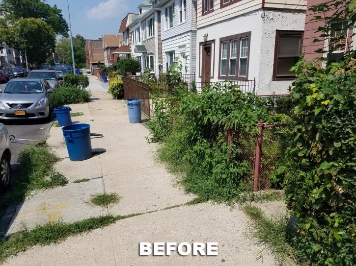 Image for Tree Trimming & Pruning with ID of: 2111436