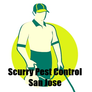 Image for Scurry Pest Control San Jose with ID of: 2111499