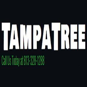 Image for Tampa Tree with ID of: 2111799