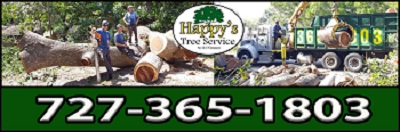 Image for Happy's Tree Service Seminole with ID of: 2114467