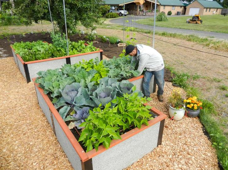 Image for Durable GreenBed - Non-toxic raised garden bed kits that last a lifetime with ID of: 2115941