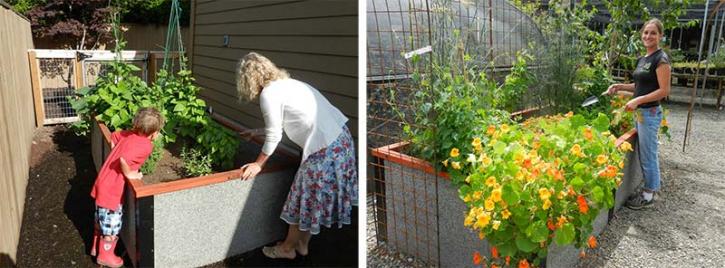 Image for Durable GreenBed - Non-toxic raised garden bed kits that last a lifetime with ID of: 2115958