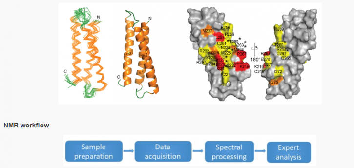 Image for nmr service with ID of: 2116051