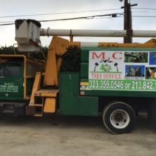 Image for MC Tree Service with ID of: 2116178