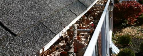 Image for Dan's Window Cleaning with ID of: 2118736